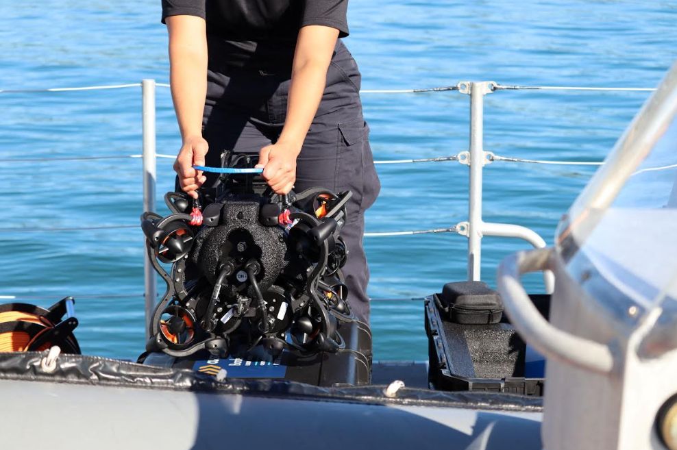 Customs Hawk Auckland.Scoop » Customs Strengthens Maritime Border With New ...