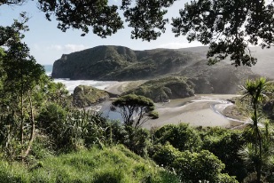 Please Sign The Petition To Save The Waitākere Ranges Heritage Area ...
