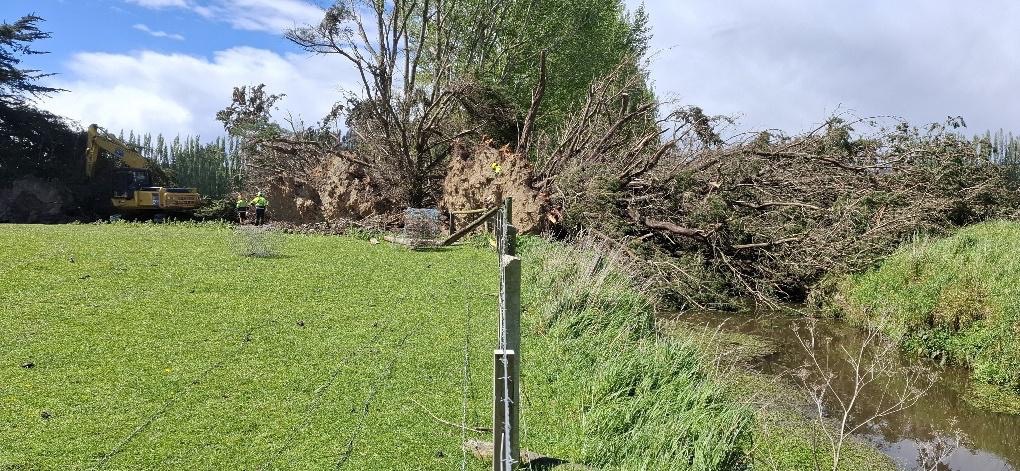A fence in a field<p>AI-generated content may be
incorrect.