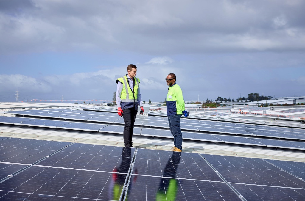 NZ’s Largest Rooftop Solar Switched On At Fisher & Paykel Healthcare ...