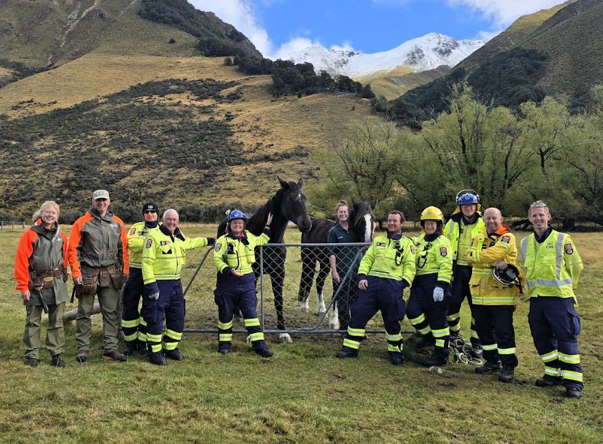 Doc Ranger Horse Rescue: what's happening and what it means — image 5
